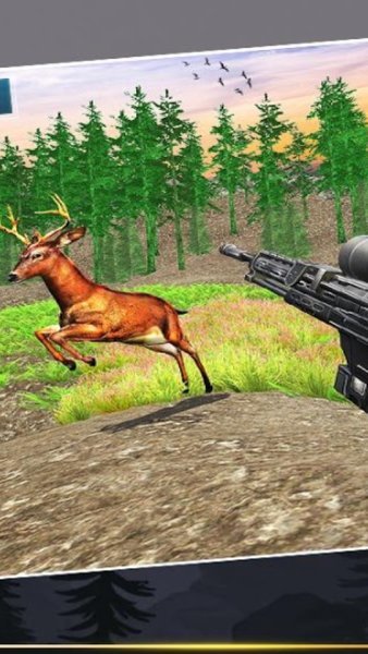野鹿狩猎模拟器中文版(3)