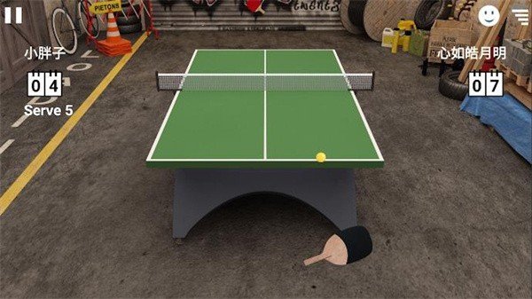 双人乒乓球(1)